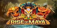 Rise of Maya