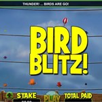 Bird Blitz